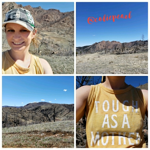 Meet your Posher, Colie - Picture 6 of 8